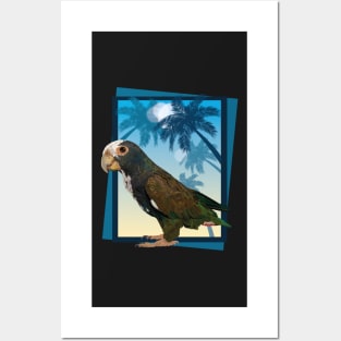 white-crowned parrot Posters and Art